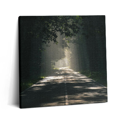 Tablou pe pânză canvas 60x60 Drum forestier și fâșii de soare
