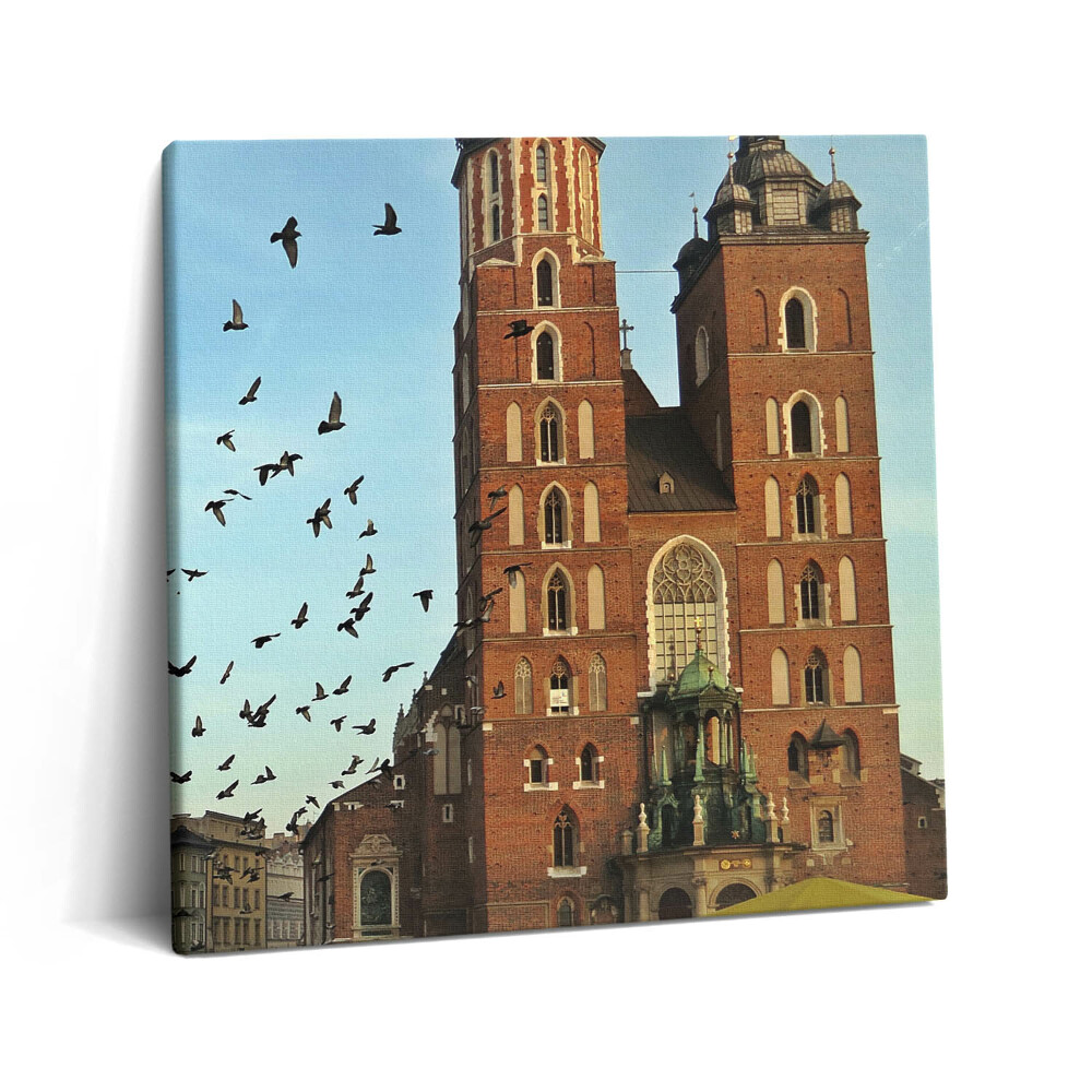 Tablou pe pânză canvas 60x60 Porumbei în orașul Cracovia