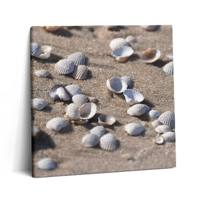 Tablou pe pânză canvas 60x60 Scoici pe plajă
