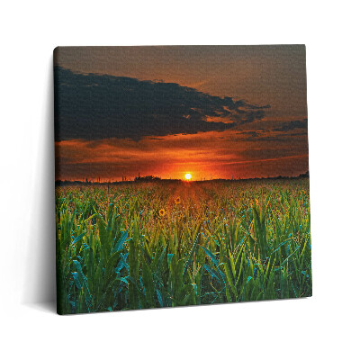 Tablou pe pânză canvas 60x60 Floarea-soarelui în pajiște