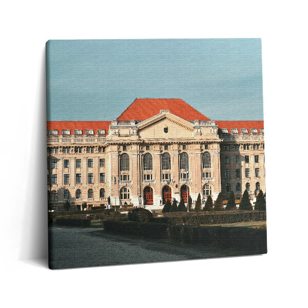 Tablou pe pânză canvas 60x60 Universitatea din Debrețin