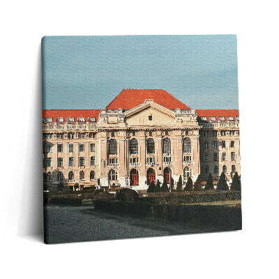 Tablou pe pânză canvas 60x60 Universitatea din Debrețin