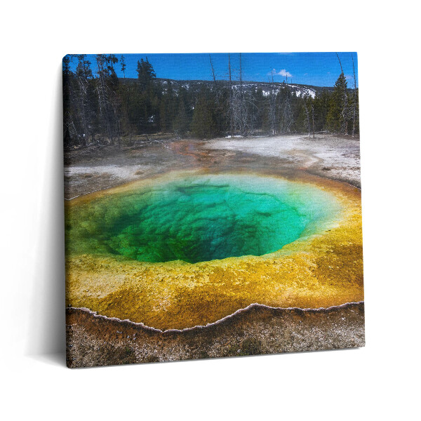 Tablou pe pânză canvas 60x60 Izvoarele termale Yellowstone