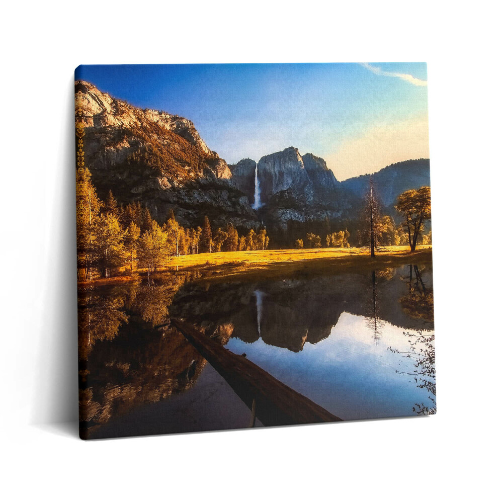 Tablou pe pânză canvas 60x60 Pădurea din Parcul Yosemite