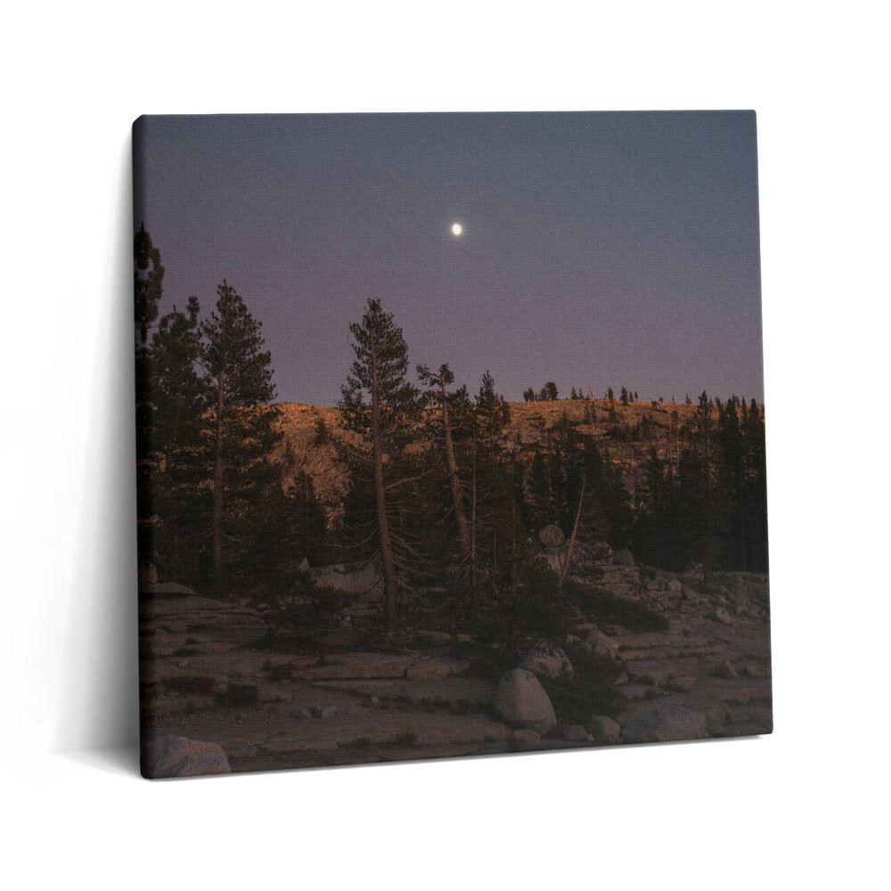 Tablou pe pânză canvas 60x60 Drum stâncos în Yosemite