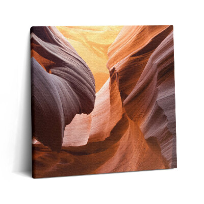 Tablou pe pânză canvas 60x60 Canionul Antelope