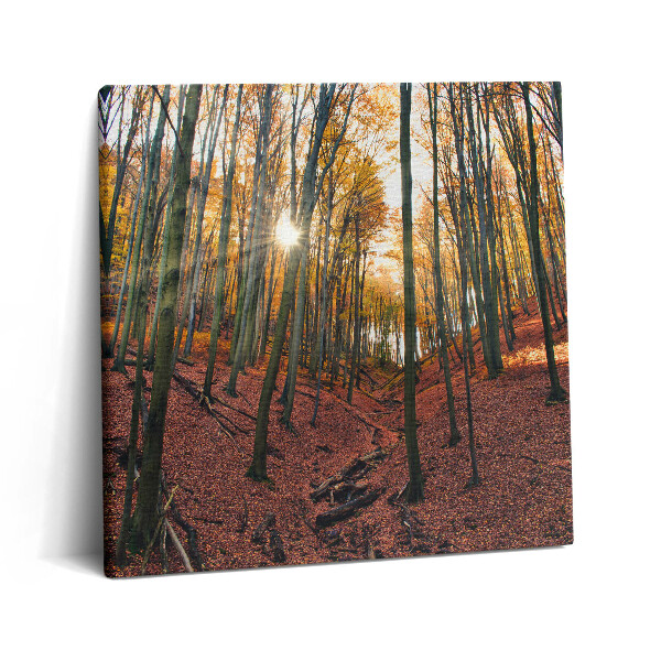 Tablou pe pânză canvas 60x60 Apus de soare și copaci