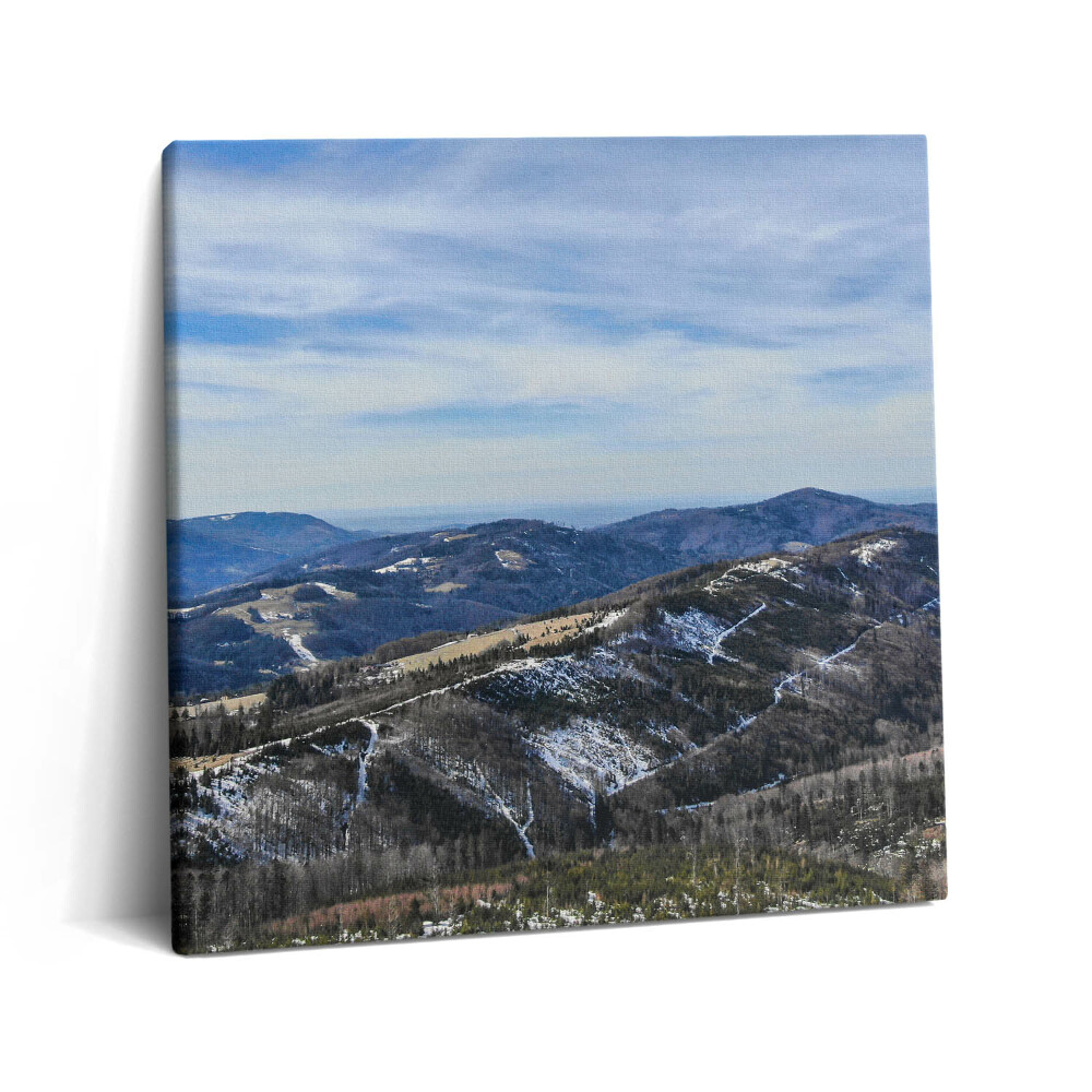 Tablou pe pânză canvas 60x60 Peisajul din Równica Ustroń