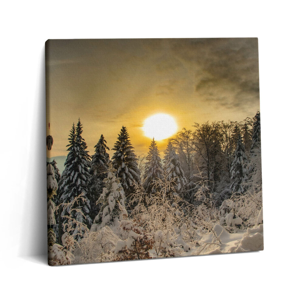 Tablou pe pânză canvas 60x60 Peisaj de iarnă al Munților Beskid