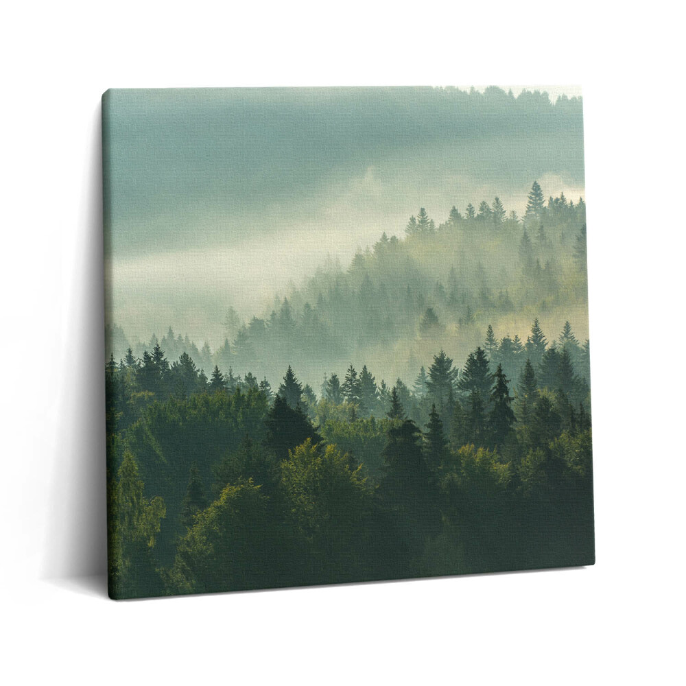 Tablou pe pânză canvas 60x60 Munții Beskid la răsărit