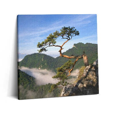 Tablou pe pânză canvas 60x60 Vârful Sokolica din Munții Pieniny