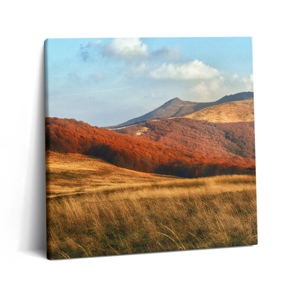 Tablou pe pânză canvas 60x60 Peisaj montan de toamnă