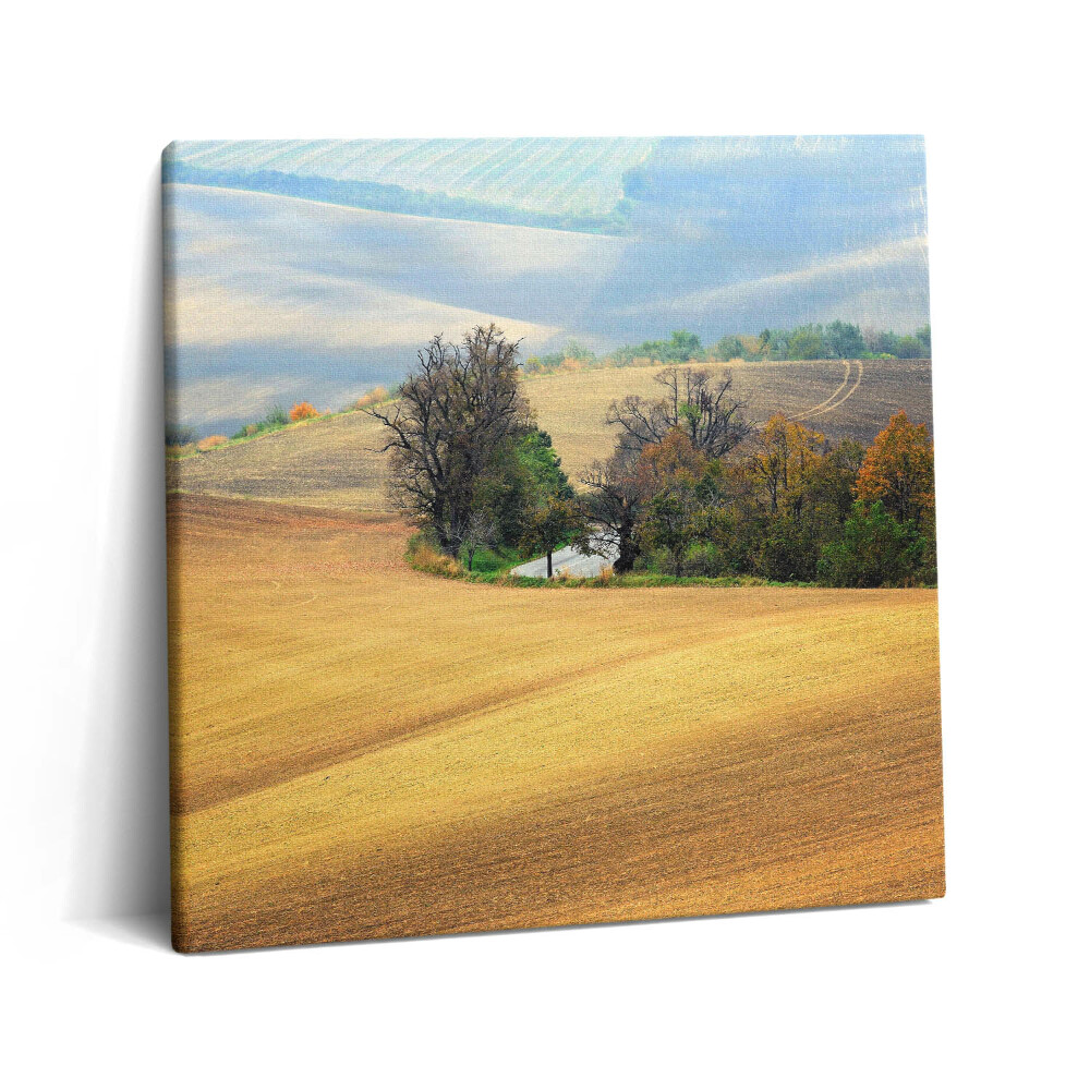 Tablou pe pânză canvas 60x60 Peisaj rural moravian