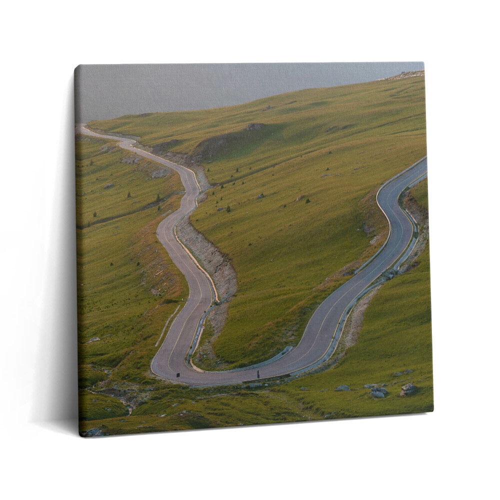 Tablou pe pânză canvas 60x60 Ruta Transalpina 67c