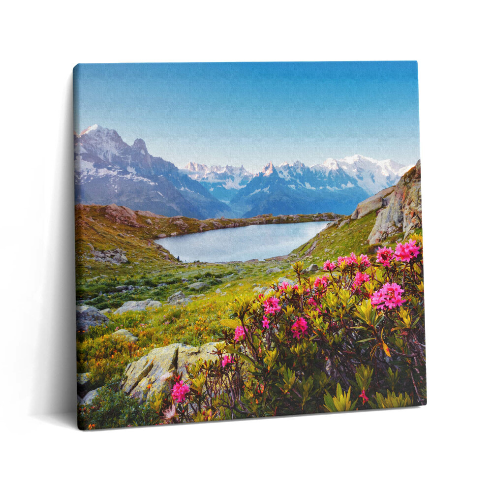 Tablou pe pânză canvas 60x60 Ghețarul Mont Blanc Chamonix