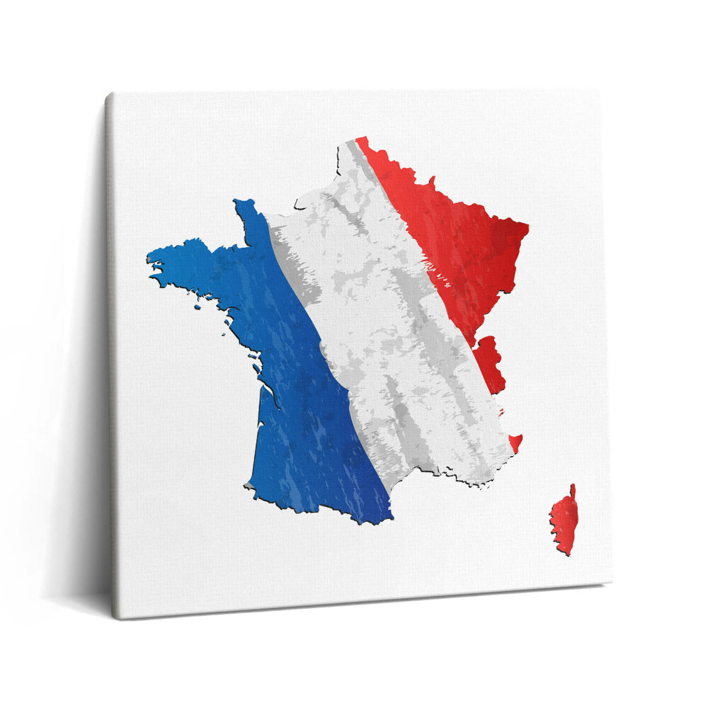 Tablou pe pânză canvas 60x60 Drapelul francez