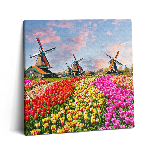 Tablou pe pânză canvas 60x60 Peisaj cu lalele Olanda