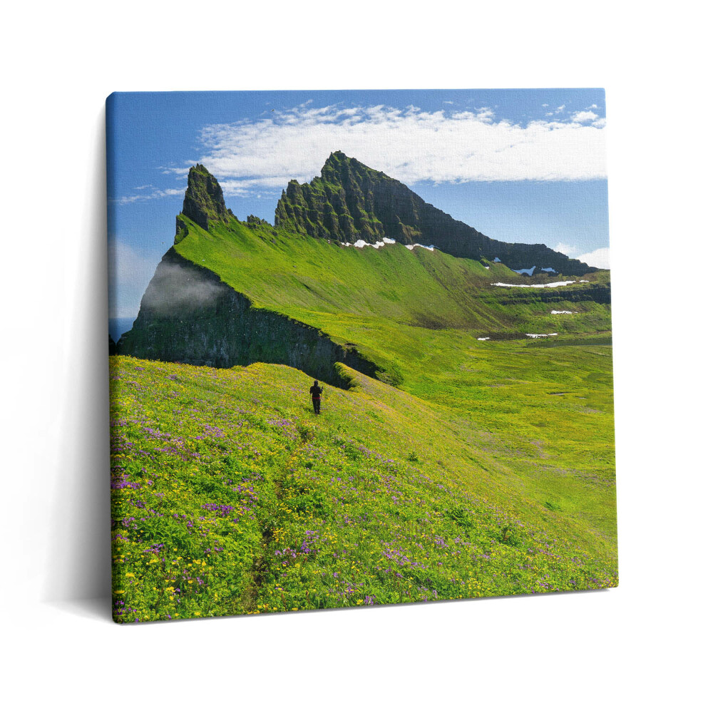 Tablou pe pânză canvas 60x60 Rezervația Hornstrandir din Islanda