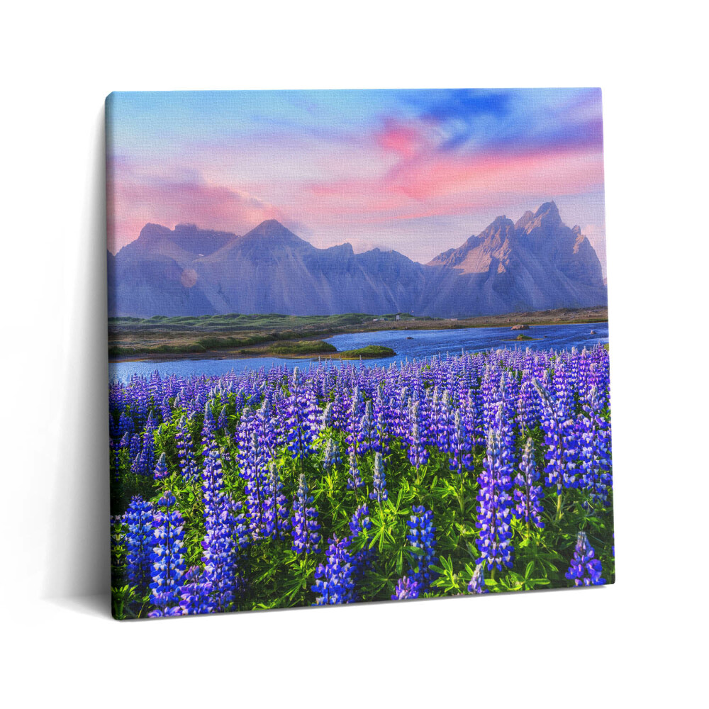 Tablou pe pânză canvas 60x60 Câmpuri de lavandă - Islanda