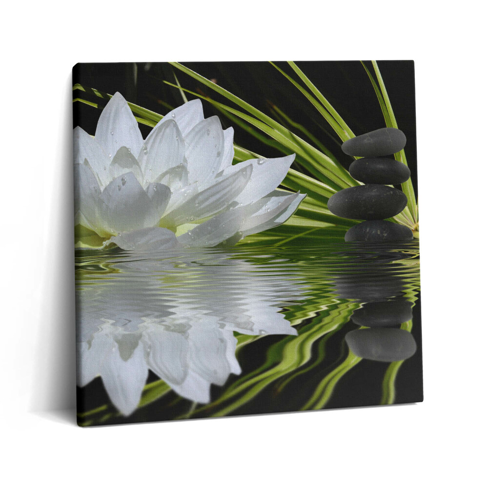 Tablou pe pânză canvas 60x60 Nufăr și frunze