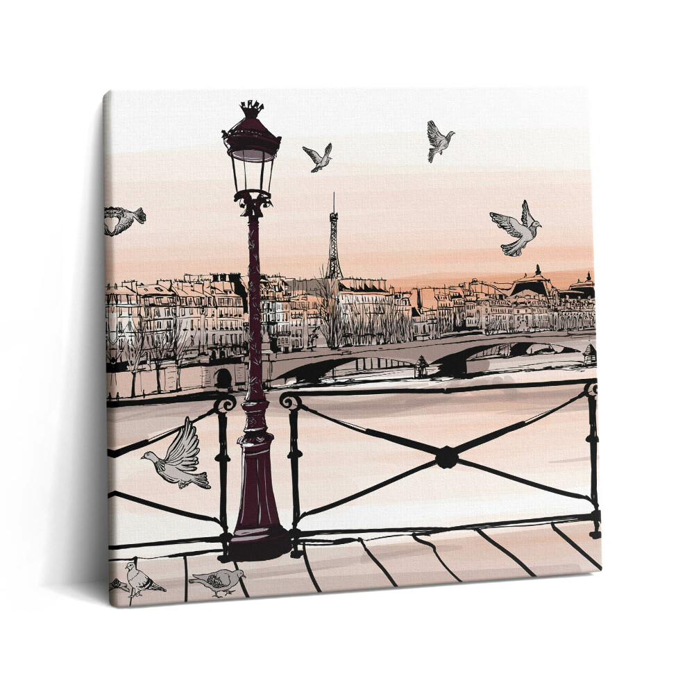 Tablou pe pânză canvas 60x60 Apus de soare pe Sena