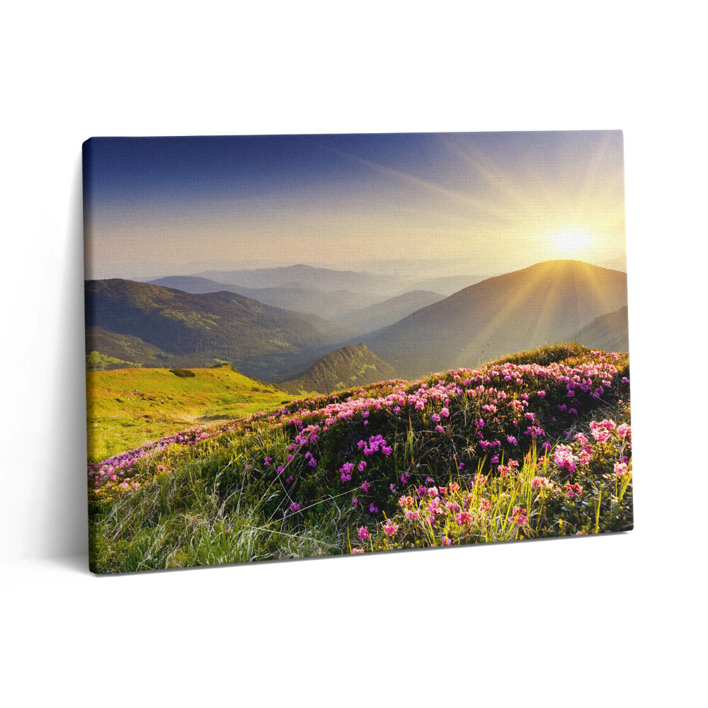 Pictură pe pânză 80x60 Munți și o pajiște cu flori