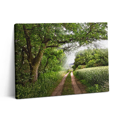Pictură pe pânză 80x60 Căi printre copaci și raze de soare