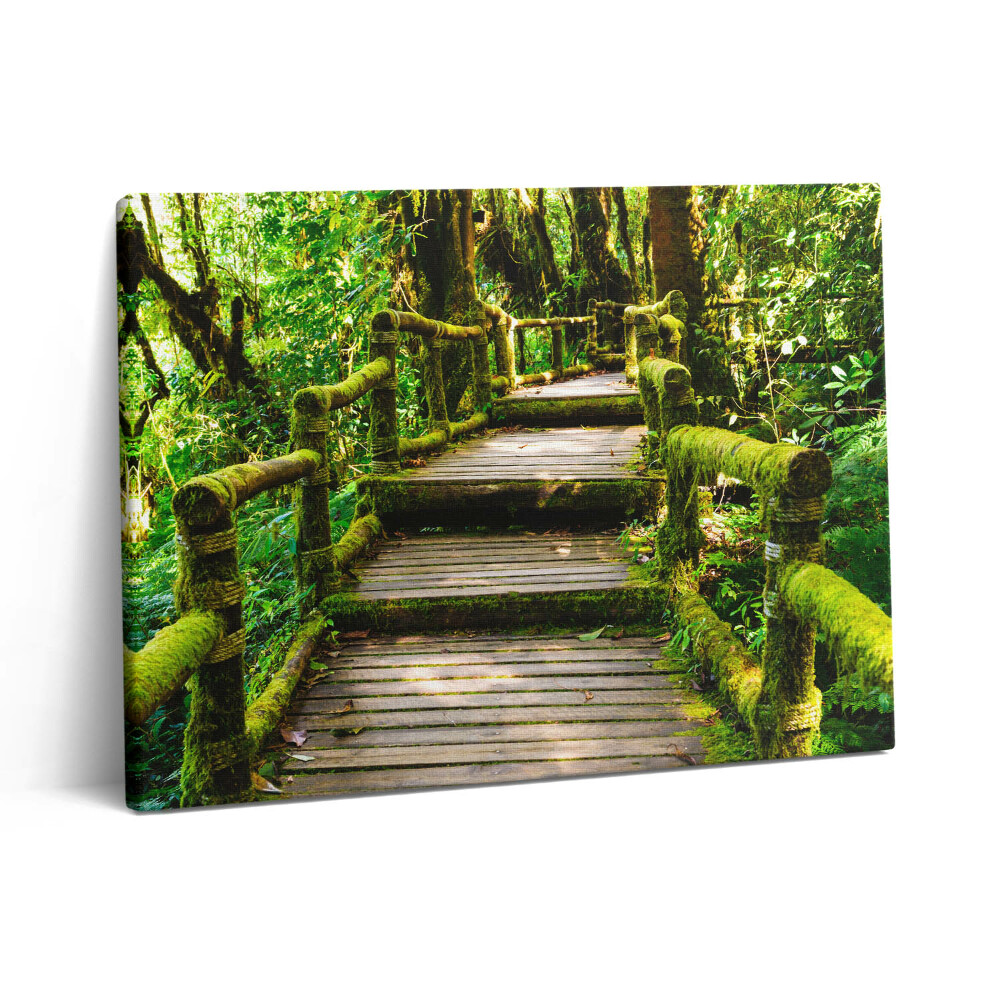 Pictură pe pânză 80x60 Pasarelă pietonală din lemn - agroturism