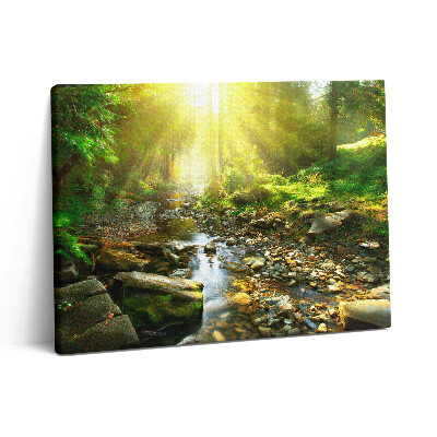 Pictură pe pânză 80x60 Pârâu de pădure la soare