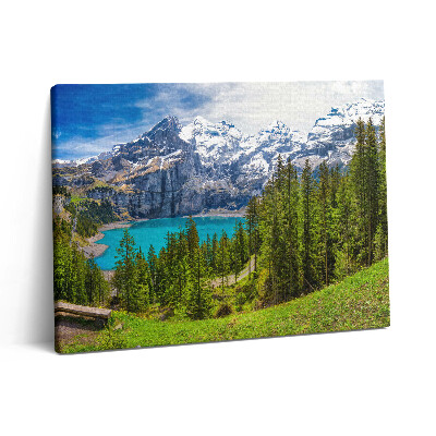 Pictură pe pânză 80x60 Peisaj de pajiști și munți