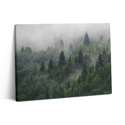 Pictură pe pânză 80x60 Peisaj forestier în ceață