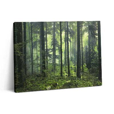 Pictură pe pânză 80x60 Peisaj de copaci și vegetație forestieră