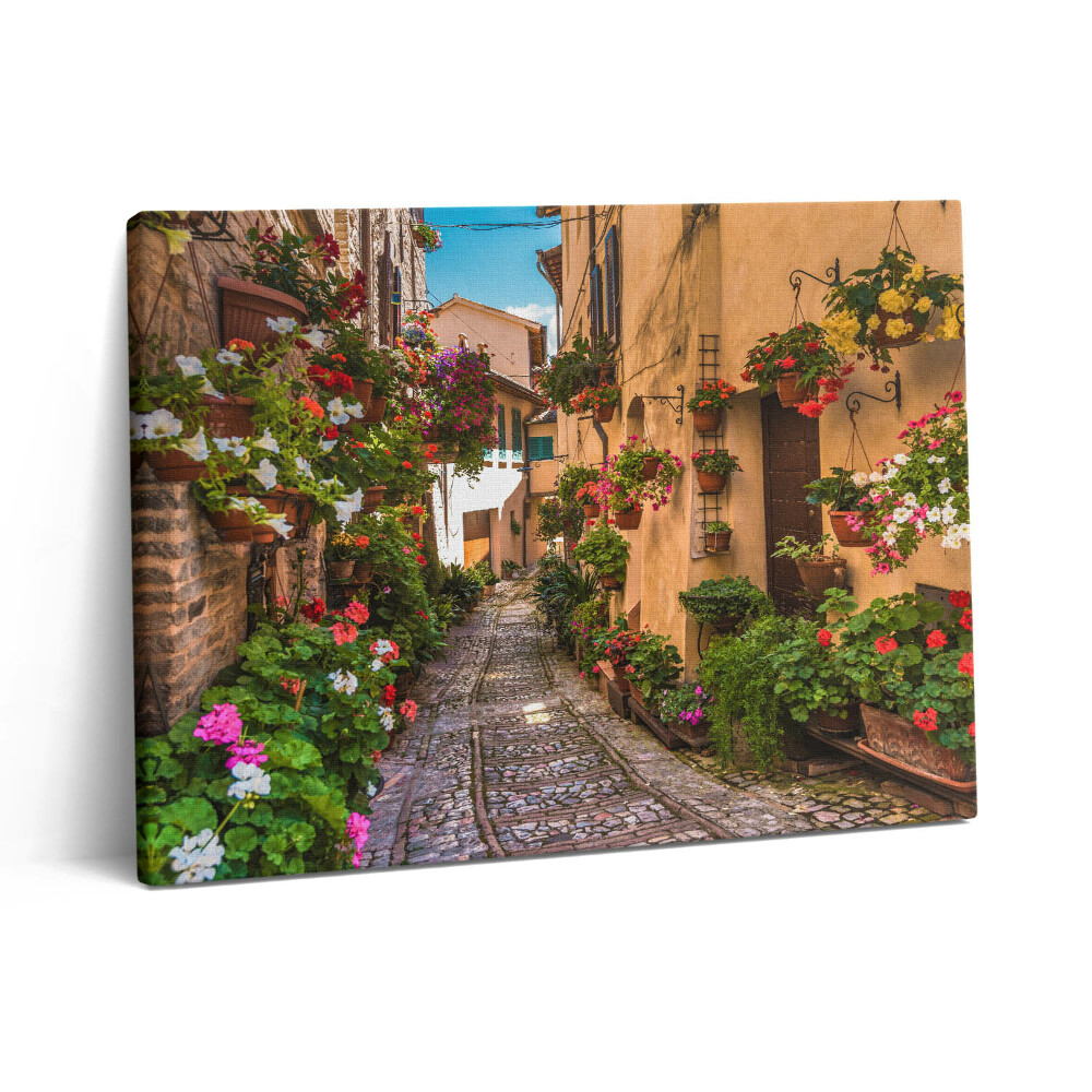 Pictură pe pânză 80x60 Strada Florilor din Umbria