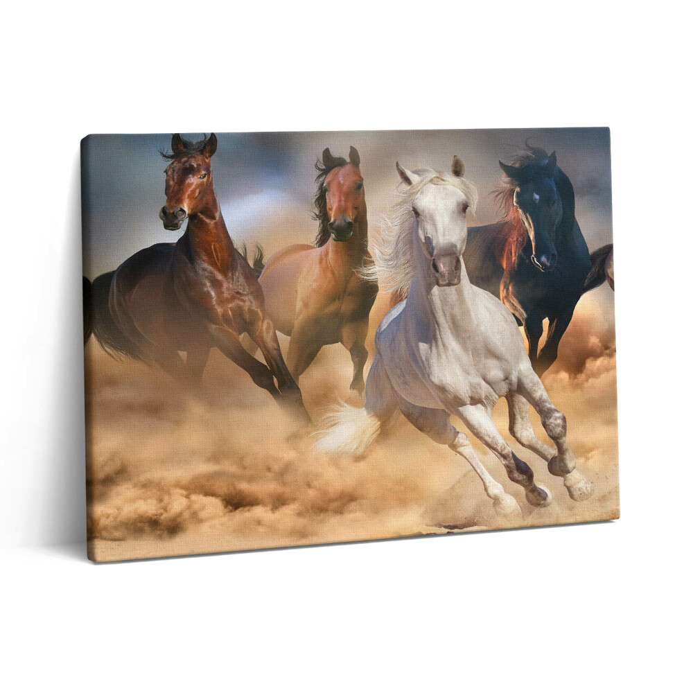 Pictură pe pânză 80x60 Caii năvălesc în galop