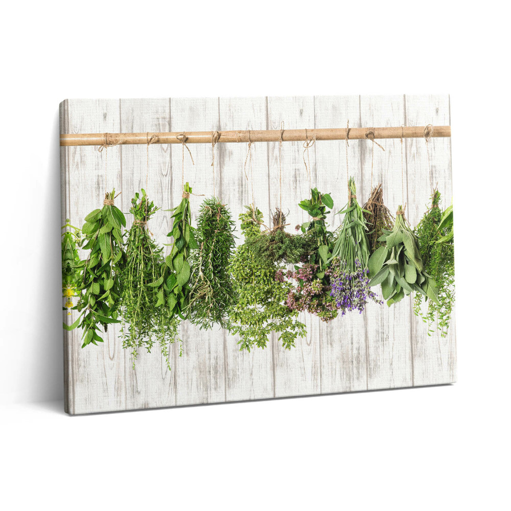 Pictură pe pânză 80x60 Ierburi și plante uscate