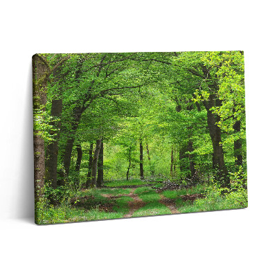 Pictură pe pânză 80x60 Drum forestier sub copaci