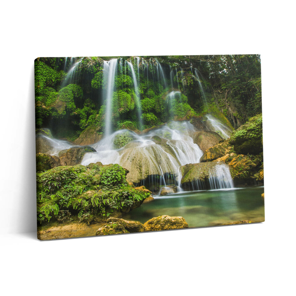 Pictură pe pânză 80x60 Cascadă naturală sălbatică