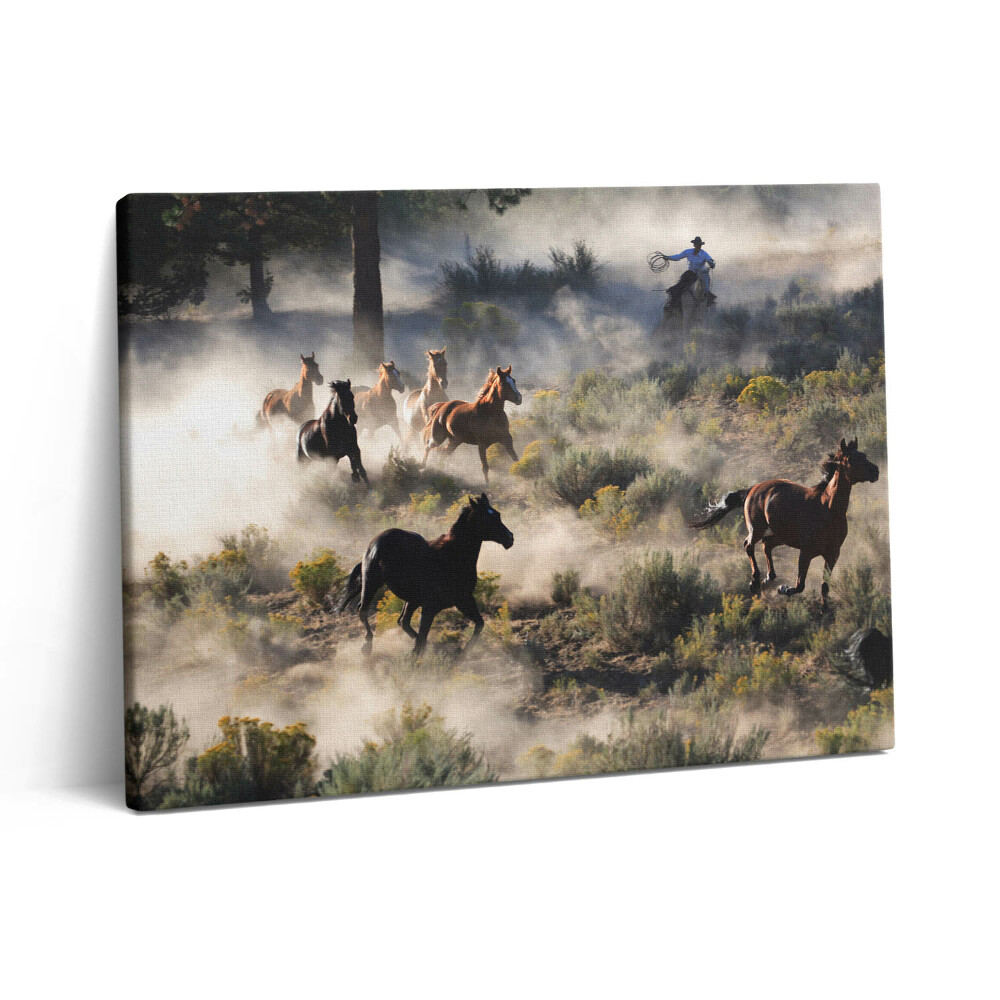 Pictură pe pânză 80x60 O turmă de cai în galop