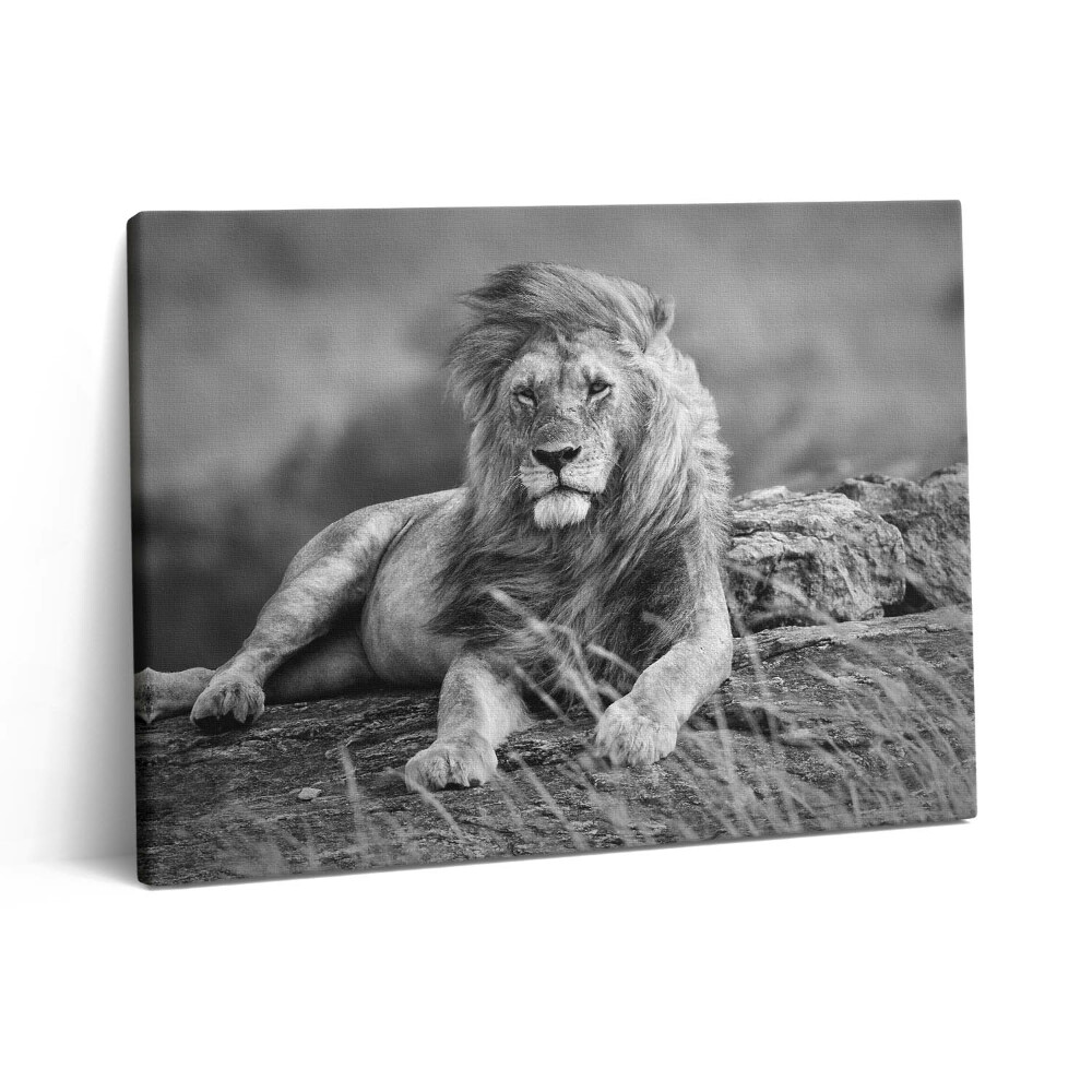 Pictură pe pânză 80x60 Leul animal maiestuos