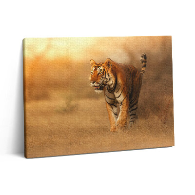 Pictură pe pânză 80x60 Tigru sălbatic la vânătoare