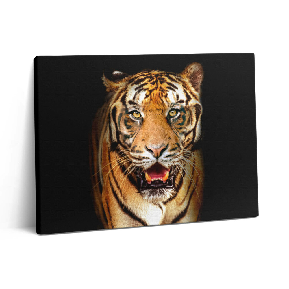 Pictură pe pânză 80x60 Pisică tigru sălbatică expresivă