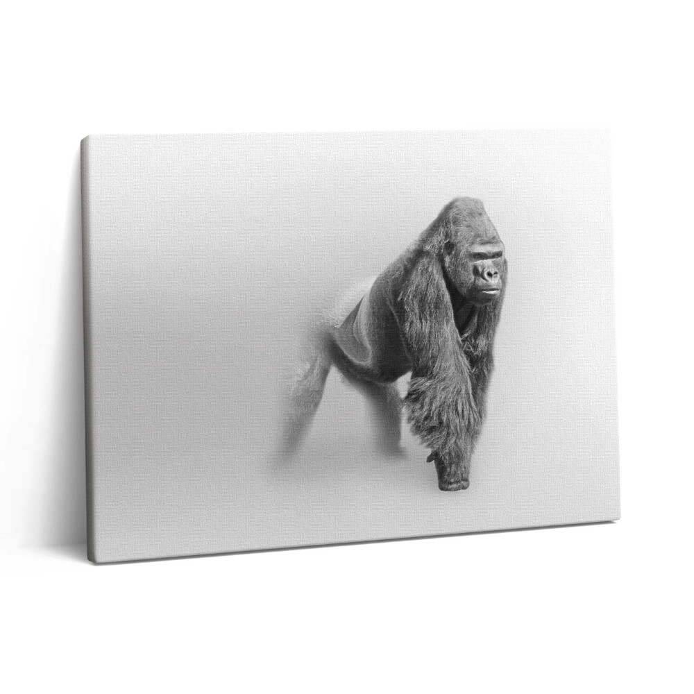 Pictură pe pânză 80x60 Colecția de artă a vieții sălbatice