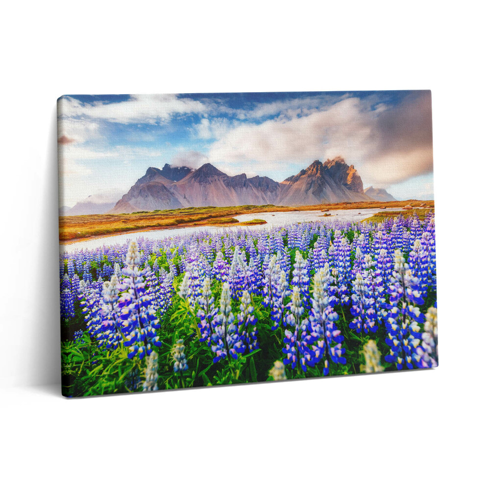 Pictură pe pânză 80x60 Flori magice de lupin