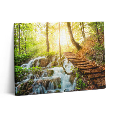 Pictură pe pânză 80x60 Pârâu și scări în pădure
