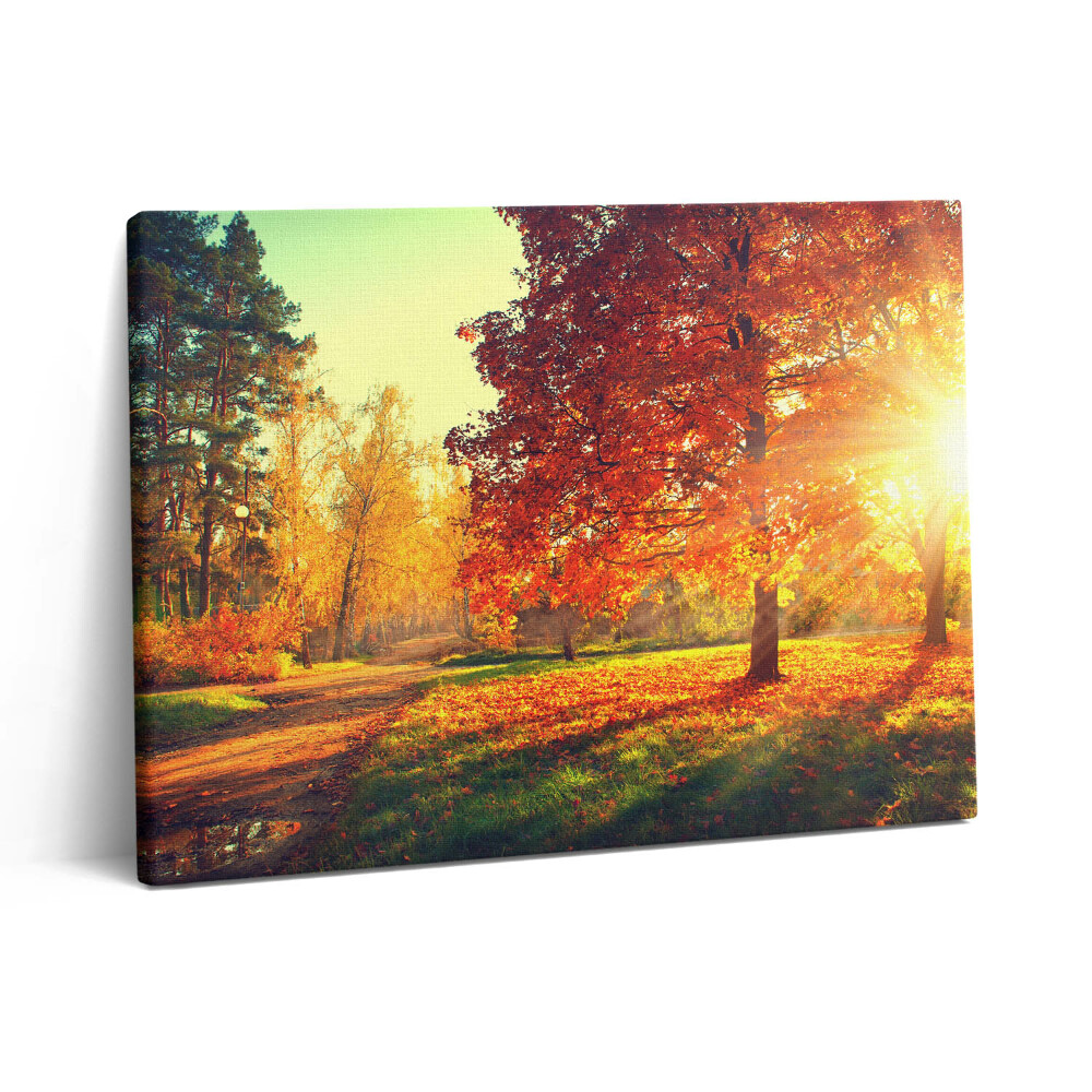 Pictură pe pânză 80x60 Parc de toamnă