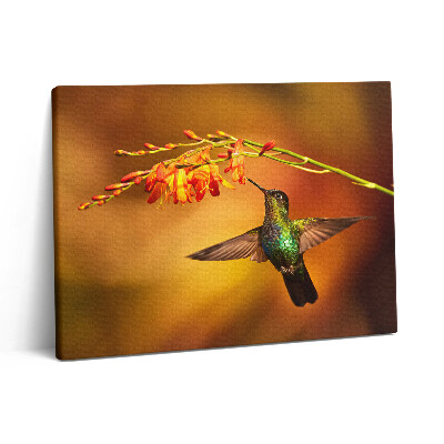 Pictură pe pânză 80x60 Colibri