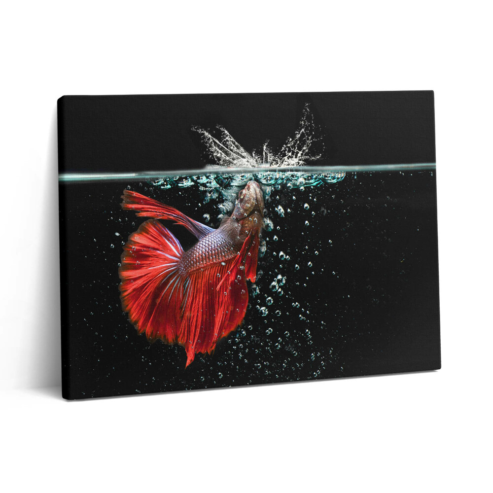 Pictură pe pânză 80x60 Peștii din acvariu