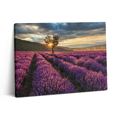 Pictură pe pânză 80x60 Peisaj de câmp de lavandă