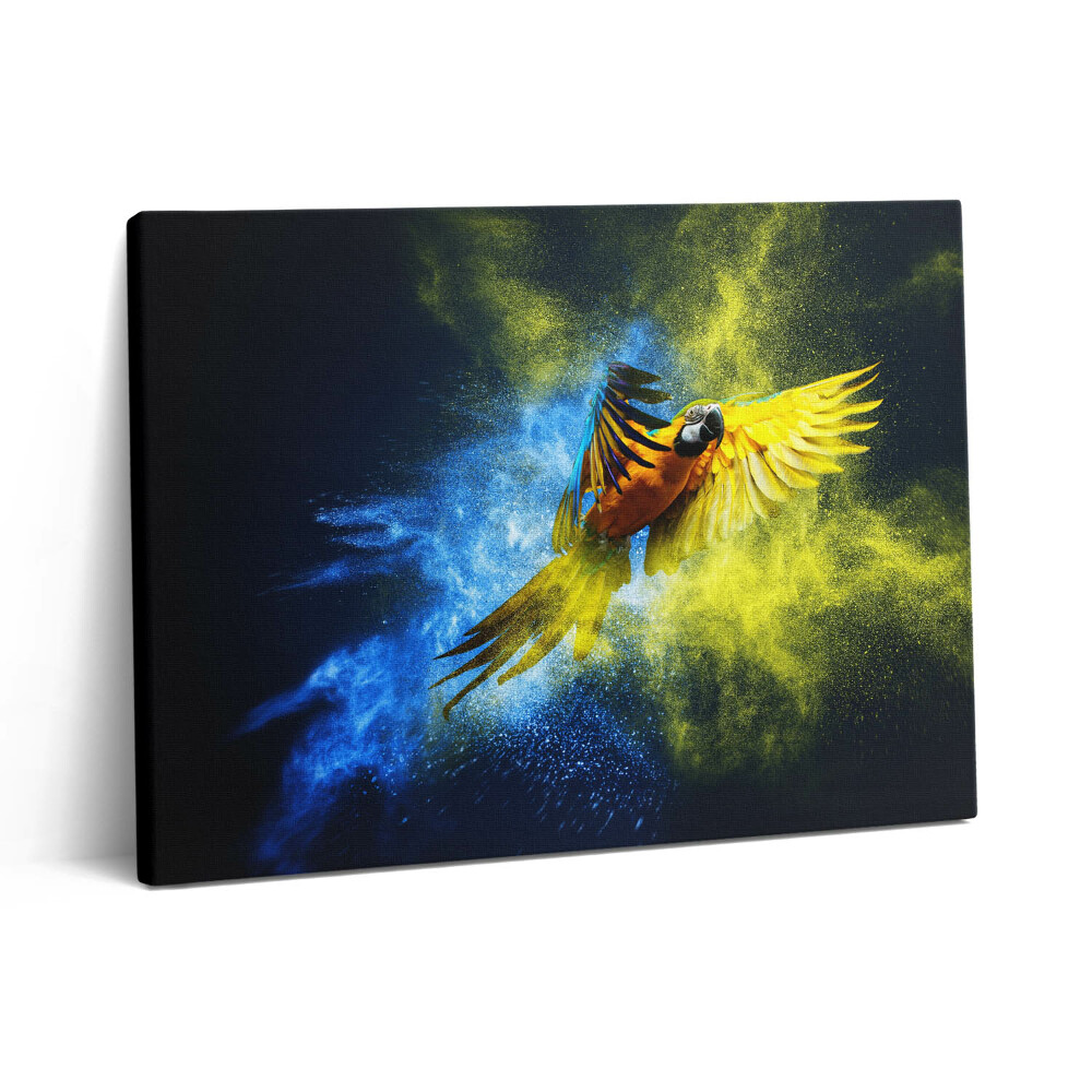 Pictură pe pânză 80x60 Papagal colorat