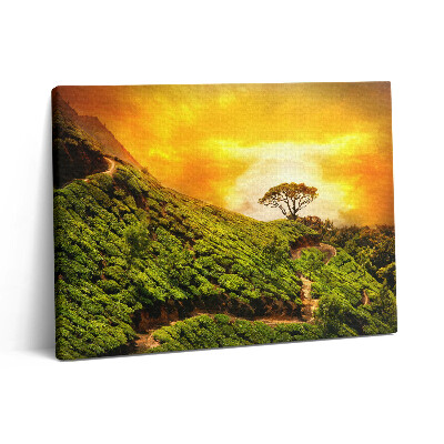 Pictură pe pânză 80x60 Dealul Ceaiului